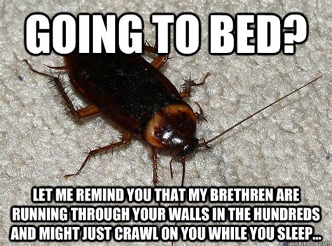 Scumbag Cockroach memes | quickmeme