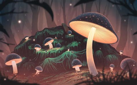 Mushroom Desktop Wallpapers - Wallpaper Cave