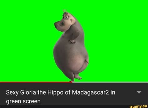 Sexy Gloria the Hippo of Madagascar2 in green screen - iFunny