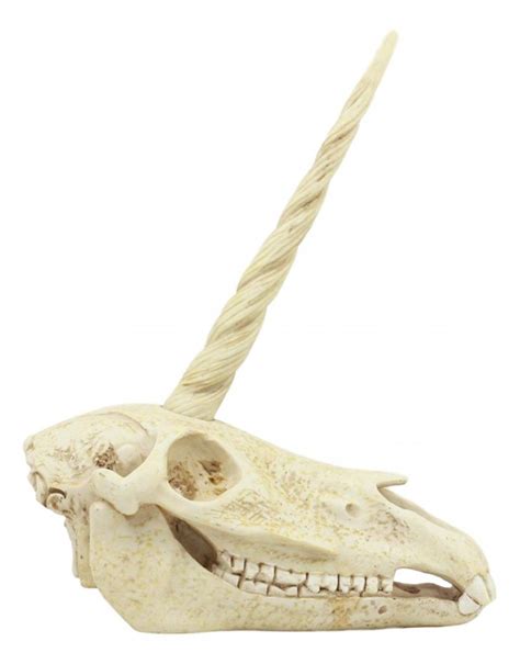 This Unicorn Skull Fossil Is Just What You Need | GeekSupply