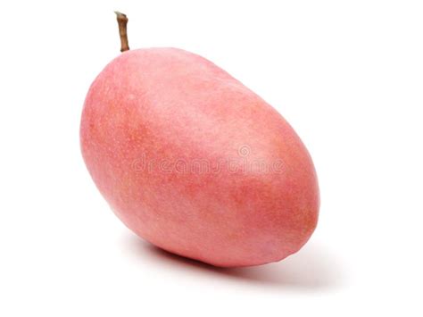 Pink mango stock image. Image of nutrition, produce - 167049689