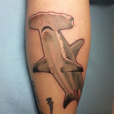 Hammerhead Shark | Shannon Archuleta | Flickr