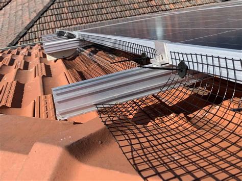 Solar Panel Bird Proofing | Procoll Gutter Clean