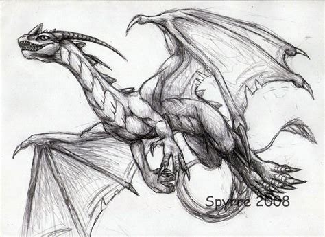 Baby Dragon Drawings - Dragon Art