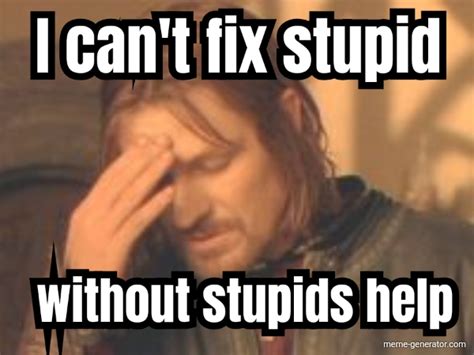 I can't fix stupid without stupids help - Meme Generator