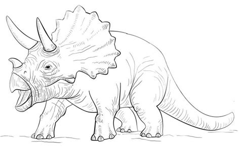 triceratops ausmalbilder #ausmalbilder #triceratops | Dinosaur coloring pages, Dinosaur coloring ...