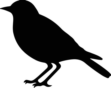 blackbird black silhouette 38099984 Vector Art at Vecteezy