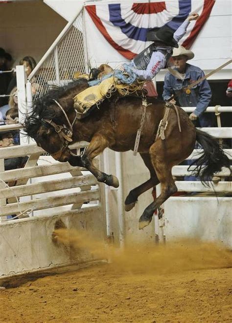 1502 best PBR and Rodeo events, players, ect. images on Pinterest | Rodeo cowboys, Bull riders ...