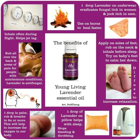 Pin by Chia Yen on Young living lavender | Young living essential oils ...