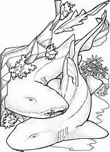 33 Free Shark Coloring Pages Printable sketch template