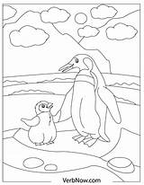 Free PENGUINS Coloring Pages For Download Printable PDF  VerbNow sketch template