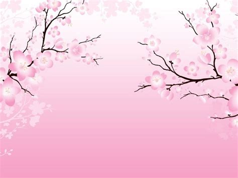 sakura cherry blossom background - Clip Art Library