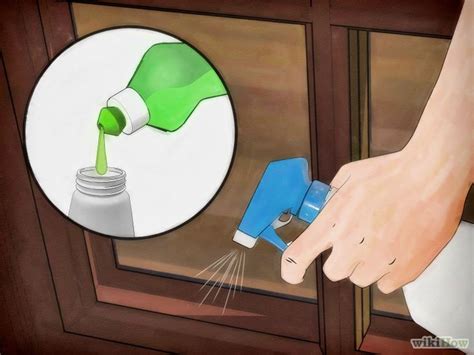 4 Ways to Get Rid of Stink Bugs Naturally - wikiHow | Stink bugs, Stink ...