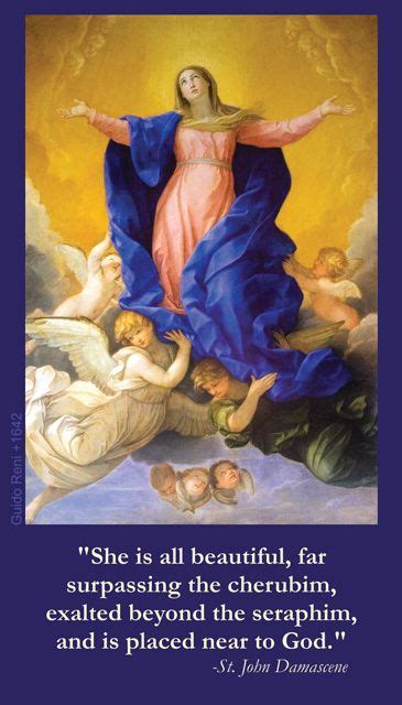 Our Lady of the Assumption Prayer Card | Assumption of mary, Blessed virgin mary, Blessed mother