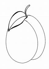 Coloring Pages  Free Plum Fruits For Kids sketch template