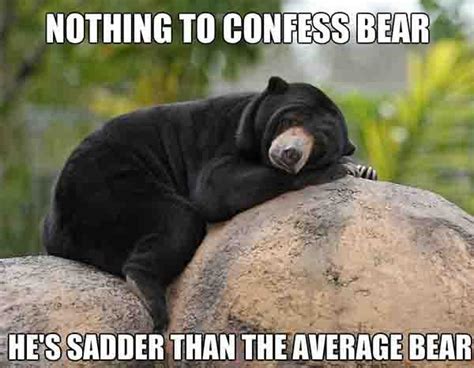 Sad Bear Meme
