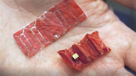 New ingestible tiny 'robot' may soon make surgeries history