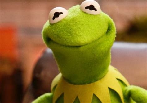 Smiling kermit Memes - Imgflip