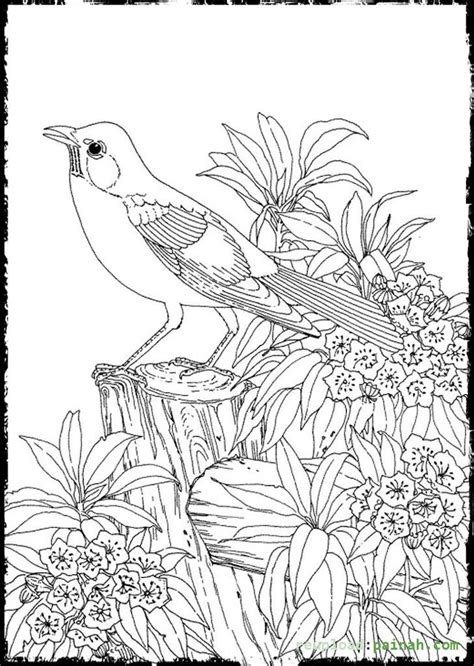 Advanced Coloring Pages for Adults Bird Cute - Coloring Pages | Oiseaux à colorier, Coloriage ...