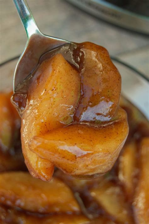 Slow Cooker Fried Apples Very yummy, I used green Granny Smiths and ...