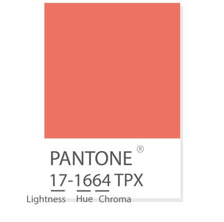 Pin on TPX COLORS
