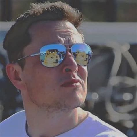 Elon Musk's new Twitter profile picture has Dogecoin in his aviators