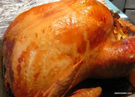 Roasting turkey tips and how-to guide | Stark Insider