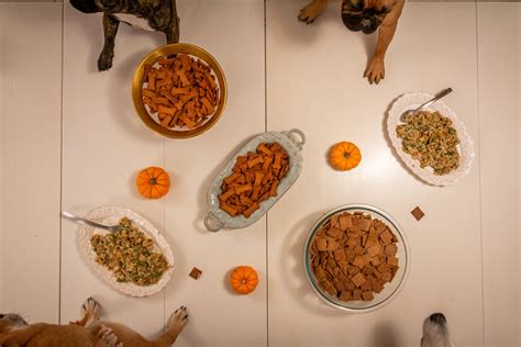 Table Scraps Dogs Shouldn’t Eat | Thanksgiving Food For Dogs – Portland Pet Food Company