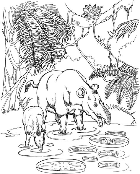 Free Tapir Coloring Pages