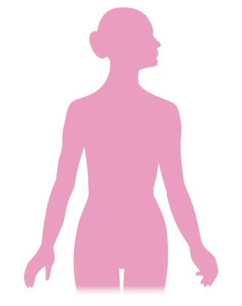 Free Human Figure Outline, Download Free Human Figure Outline png images, Free ClipArts on ...