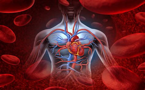 Management and treatment of coronary artery disease - Peter Yan Cardiology Clinic