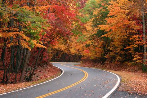 Autumn Leaf Color - Reasons For Leaf Color Change In Fall