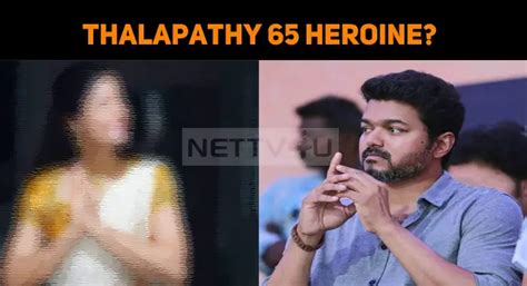 Thalapathy 65 Heroine Confirmed? | NETTV4U