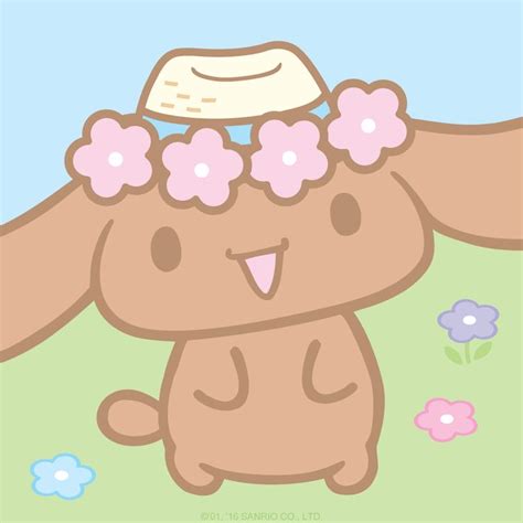 Cinnamoroll's Friend Mocha in a Straw Hat | Hello kitty drawing, Sanrio hello kitty, Pink ...