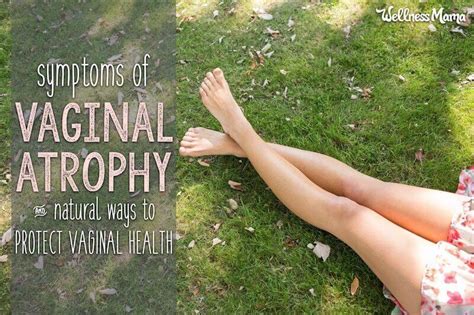 Vaginal Atrophy Symptoms (& How to Avoid It) | Wellness Mama