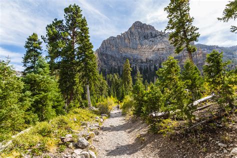 Escaping The Las Vegas Heat With A Fall Hike At Mount Charleston - Roadesque