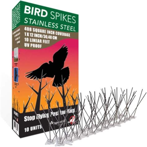 ASPECTEK Stainless Steel Bird Spikes Kit, 10 Feet (3 Metre). Perfect Bird Gel Deterrent (Without ...