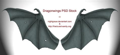 Dragon Wings PSD STock by nightgraue on DeviantArt