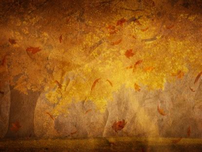 Fall Leaves Background | Hyper Pixels Media | SermonSpice