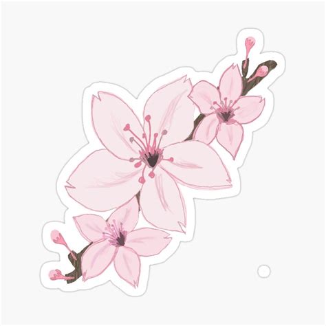 Cute pink cherry blossoms Sticker by honestBlossom in 2021 | Cherry ...