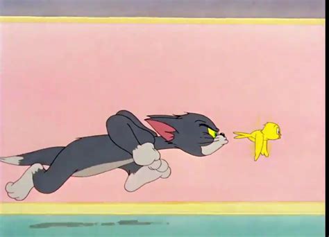 Tom&Jerry Tom And Jerry Funny, Tom And Jerry Cartoon, Hanna Barbera Cartoons, Disney Toms, Old ...