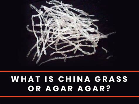 China Grass (Agar-Agar): Health Benefits, Nutrition, Uses And Side Effects - Boldsky.com