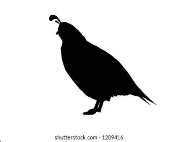 Quail Silhouette Clip Art