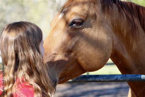 Girl and Horse Meeting over Gate Stock Photo | Adobe Stock