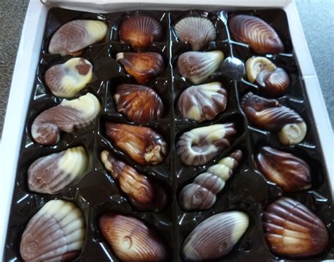 Guylian Chocolate Seashells Review - Dragons and Fairy Dust
