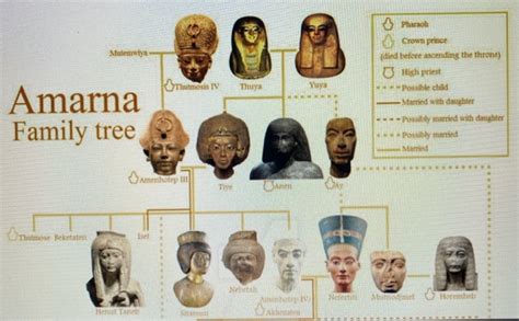 3. Below is the entire family tree of the Amarna | Chegg.com