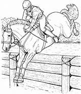 Horse Coloring Pages For Adults  Best Kids sketch template