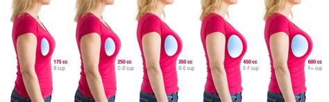 9,391 BEST Breast Sizes IMAGES, STOCK PHOTOS & VECTORS | Adobe Stock