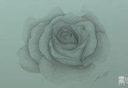 How To Draw A Rose | My Drawing Tutorials - Art Made Simple!