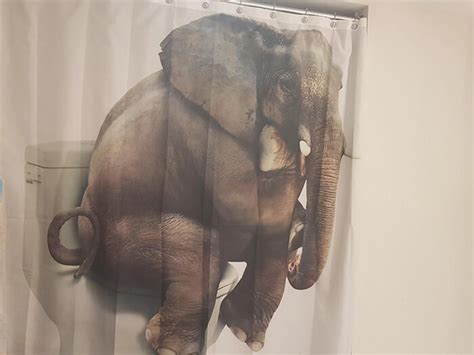 31 Funny Shower Curtains That Are So Good They Should Be In a Museum